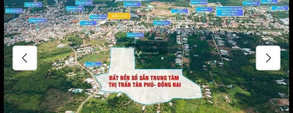 Nằm trong mức 1.15 tỷ bán đất diện tích khoảng là 100m2 vị trí thuận lợi ngay ở Tân Phú, Đồng Nai-02