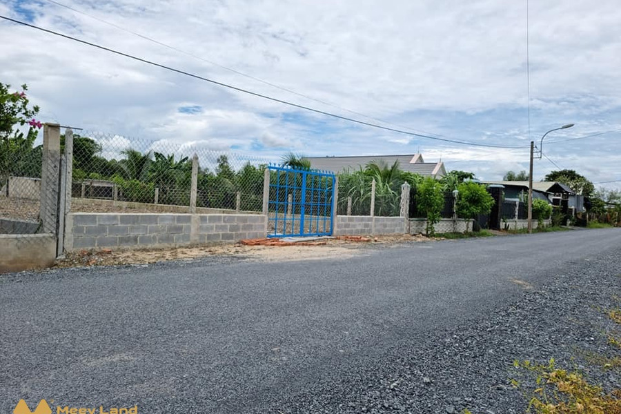 Đất Củ Chi giá rẻ đường Nguyễn Thị Rành chỉ 500 triệu, diện tích 500m2 sổ hồng riêng, bao check quy hoạch-01