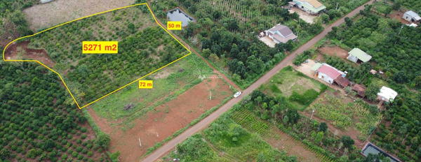 Vị trí thuận lợi tọa lạc trên Krông Năng, Đắk Lắk bán đất giá bán thỏa thuận 527 triệu Diện tích đất 5271m2-03