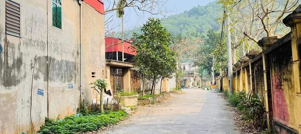 Bán nhà riêng huyện Tiên Du tỉnh Bắc Ninh, giá 1 tỷ