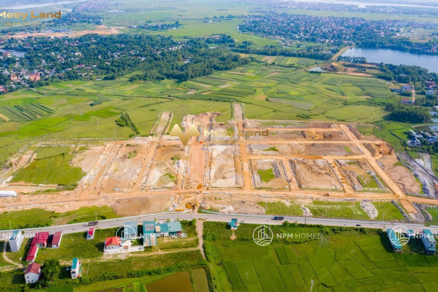 Bán đất tại Thanh Minh, Phú Thọ. Diện tích 100m2, giá 1,2 tỷ-01