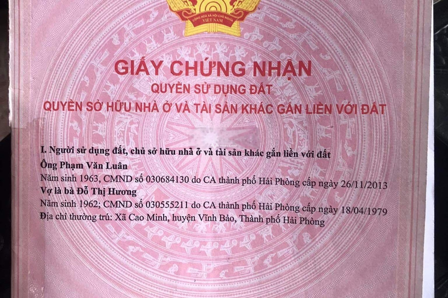 Tại Cao Minh, Hải Phòng bán đất giá siêu khủng 2 tỷ diện tích thực dài 340m2-01