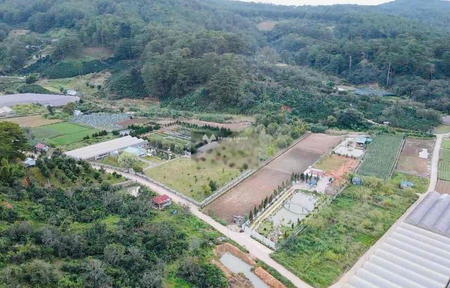 Phường 10, Lâm Đồng bán đất giá bán đề cử từ 1.3 tỷ diện tích tầm trung 650m2-01