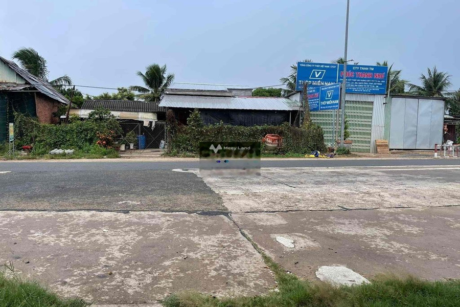 Bán đất Thới Sơn, Tiền Giang diện tích 8637m2-01