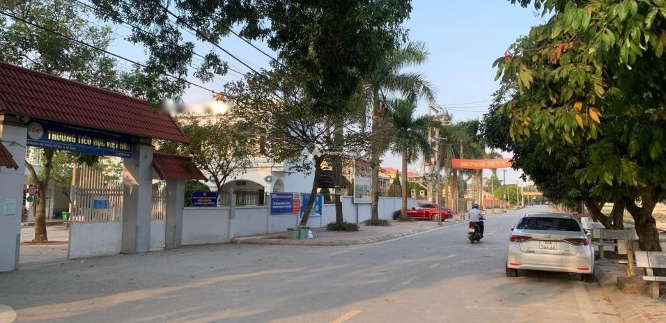 Tại Việt Hòa, Hải Dương bán đất 3.5 tỷ có diện tích thực 100m2