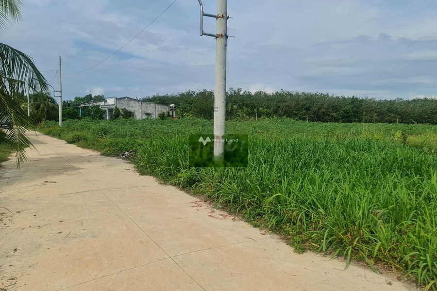 Ngay Xã Phan, Tây Ninh bán đất 325 triệu diện tích là 150m2-01