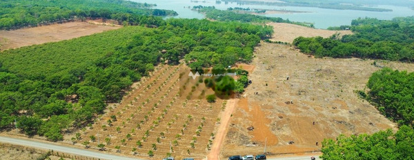 Đang cần rất nhiều tiền bán mảnh đất, 305m2 giá đặc biệt chỉ 399 triệu vị trí thuận lợi tọa lạc ngay trên Phú Riềng, Bình Phước vị trí trung tâm-03