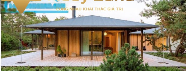 Bán mảnh đất, giá cực kì tốt 1,16 tỷ, 290 m2-03