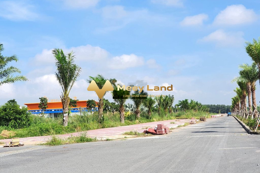1.3 tỷ bán đất với dt là 100m2 trong Nhơn Trạch, Đồng Nai-01