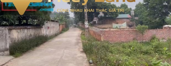 Huyện Tam Dương, Tỉnh Vĩnh Phúc bán đất giá bán sang tên chỉ 750 triệu diện tích tổng 122 m2-02