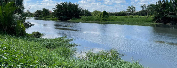 Nằm ngay Bình Hưng, Hồ Chí Minh bán đất, giá bán khởi điểm từ 9 tỷ, hướng Tây - Nam có diện tích gồm 180m2-03