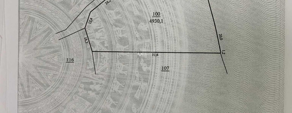 Bán 5 sào có 100m mặt tiền đường bê tông lên núi Đại Bình chính chủ đăng tin-02