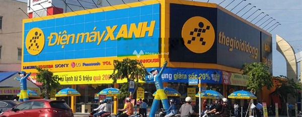 Cần xoay sở tiền bán đất Đắk Hà, Kon Tum với tổng diện tích 180m2-02
