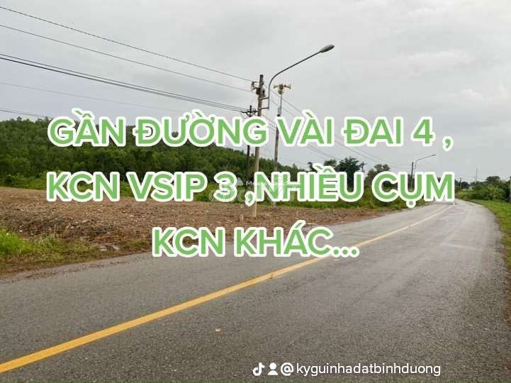 Vị trí tốt đặt nằm ngay Hiếu Liêm, Bắc Tân Uyên bán đất, giá bất ngờ chỉ 2.5 tỷ, hướng Đông Nam diện tích tiêu chuẩn 5334m2-01