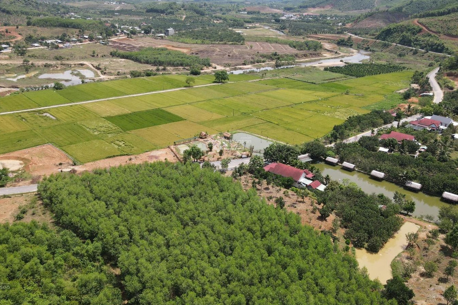 Giá khoảng 7 tỷ bán đất có diện tích chung là 7000m2 vị trí đẹp ngay trên Hương Lộ 62, Khánh Hòa-01