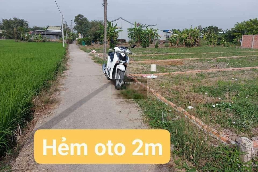 Bán đất giá 310 triệu ở Bình Đông, Tiền Giang-01