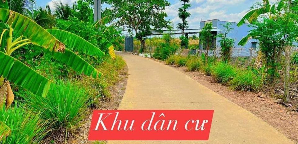 Bán đất huyện Định Quán, tỉnh Đồng Nai giá 720 triệu