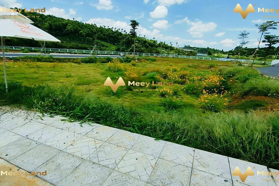Bán đất 100m2 vị trí hấp dẫn nằm ở Chu Văn An, Lâm Đồng-01
