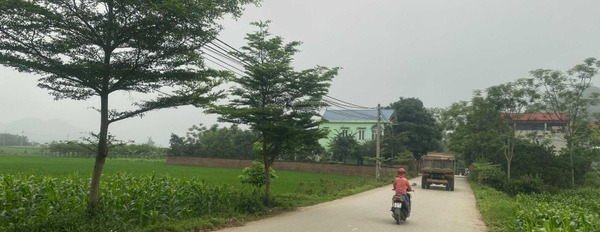 Bán mảnh đất 1800m2 tại Yên Bình, Thạch Thất-02