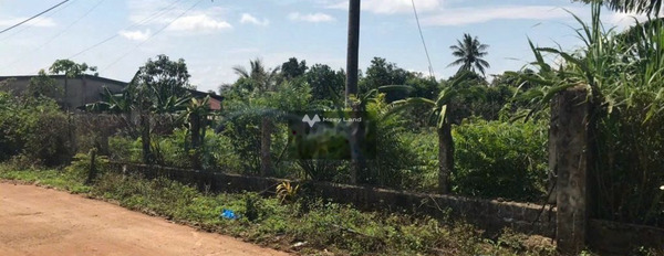 Krông Búk, Đắk Lắk bán đất giá bán rẻ chỉ 480 triệu với diện tích thực 332m2-03