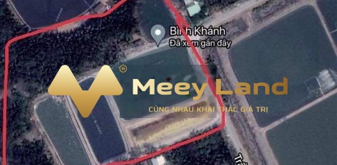 Đường Trần Quang Quờn, Xã Bình Khánh bán đất giá cực rẻ chỉ 23 tỷ diện tích khoảng 4235 m2-03