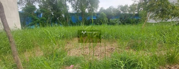 950 triệu bán đất có một diện tích là 125m2 vị trí mặt tiền nằm tại Nguyễn Thị Lắng, Phước Vĩnh An-02