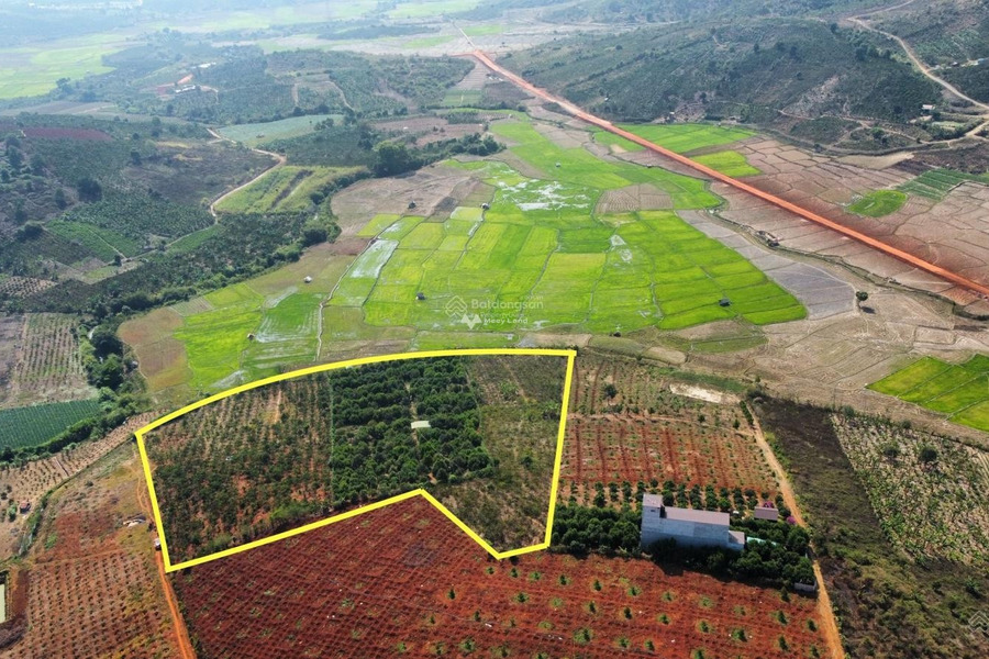 10.2 tỷ bán đất Diện tích đất 17000m2 ngay trên Di Linh, Lâm Đồng-01