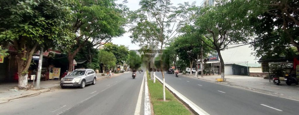 Ở Thọ Quang, Sơn Trà bán đất 9 tỷ, hướng Tây Nam diện tích 102m2-02