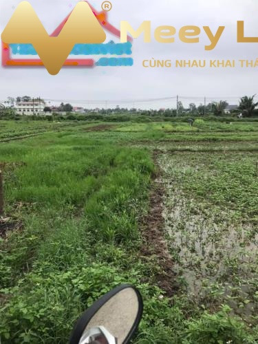 Tại Thanh Sơn, Kiến Thụy bán đất 1.3 tỷ, hướng Tây Nam có dt chung 137 m2-01