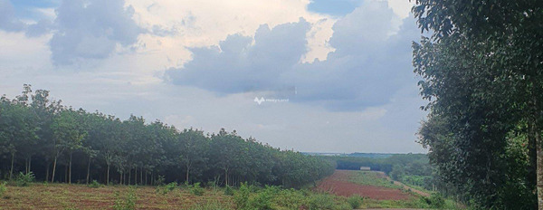 1.05 tỷ bán đất với diện tích tiêu chuẩn 220m2 vị trí đặt ở tại Phước An, Hớn Quản-02