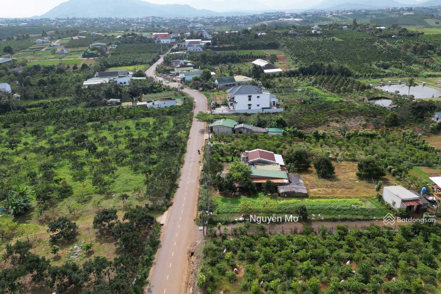 Bán đất 3.5 tỷ Lộc Tân, Bảo Lâm có diện tích thực 1300m2-01