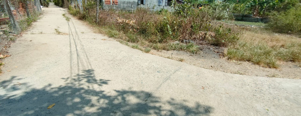 Bán đất Diên Thọ gần Hương lộ 62 rộng rãi làm nhà vườn-03
