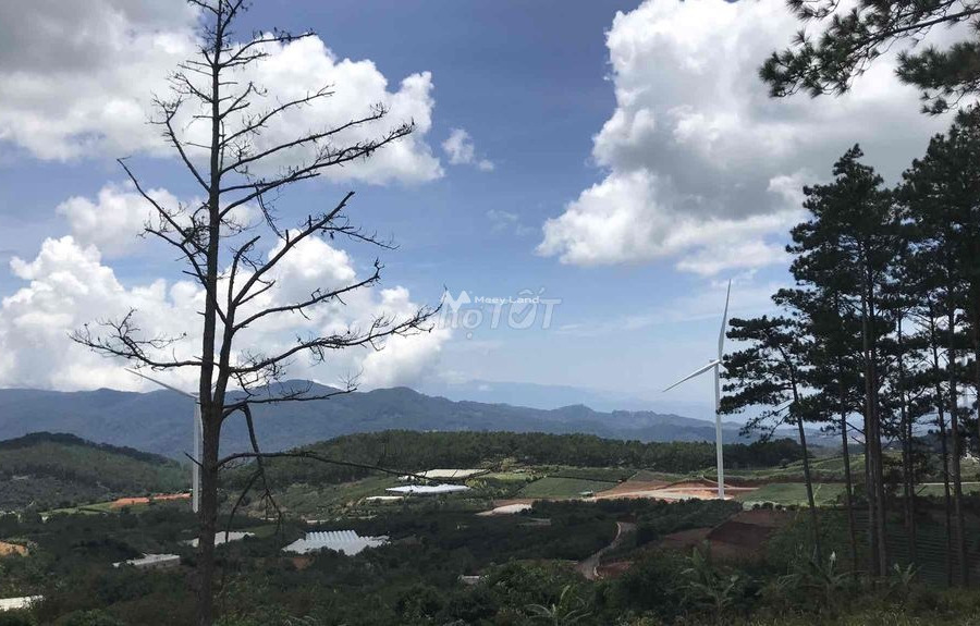 Nằm tại Phường 6, Lâm Đồng bán đất 21.5 tỷ diện tích vừa phải 615m2-01