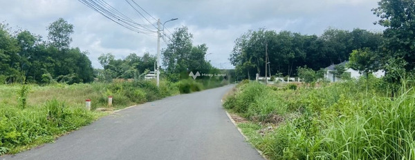 Bán đất Phước Vĩnh, Phú Giáo 250 triệu-02