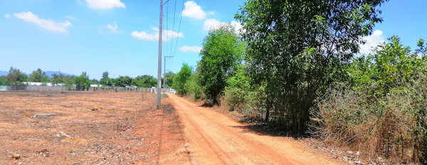 Bán đất rẻ nhất Phước Bình-Long Thành, giá 1,2 triệu/m2-02