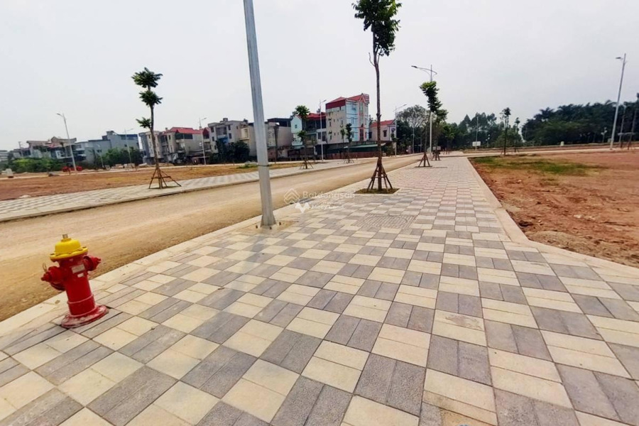 Bán đất diện tích 108m2 tại Thái Đào, Bắc Giang-01