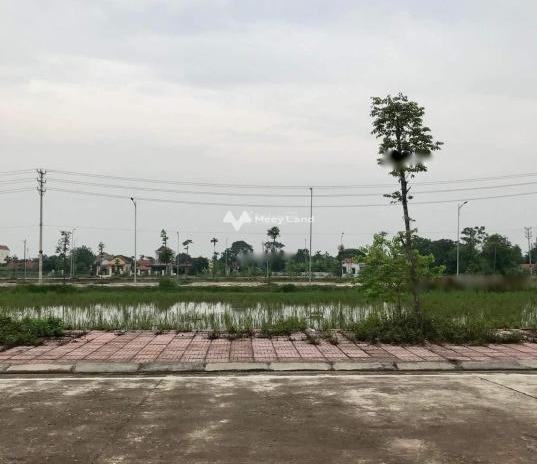 Bán đất giá 1,25 tỷ, diện tích 100m2 vị trí mặt tiền nằm tại Kim Sơn, Ninh Bình