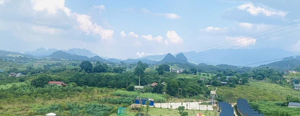Bán nhà diện tích 5000m2 vị trí mặt tiền nằm trên Cao Phong, Hòa Bình-03