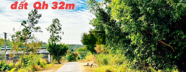 Bán đất 429 triệu Krông Búk, Đắk Lắk có một diện tích 1250m2-02
