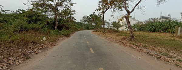Cho thuê kho bãi gần đường Đồng Văn Cống, Quận 2, diện tích 240m2, giá rẻ-03