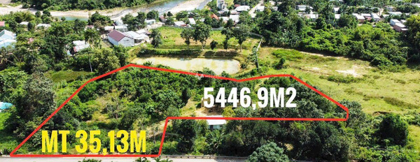 Với diện tích là 4469m2 bán đất giá chính chủ 6.7 tỷ-03
