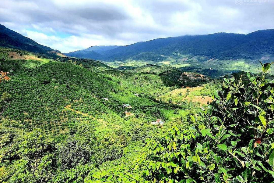 Đất đẹp. Mặt tiền đường lộ nhựa dài hơn 200m. View đẹp. Sổ hồng riêng. Chính chủ: 0909 770 *** -01