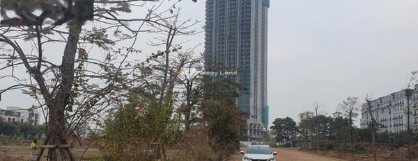 Bán đất 89 tỷ Hùng Thắng, Quảng Ninh toàn bộ khu vực có diện tích 1012m2, đường nhựa rộng 54 m-02