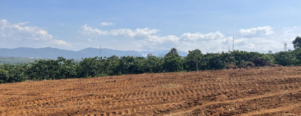 Di Linh, Lâm Đồng 550 triệu bán đất diện tích gồm 1000m2-02