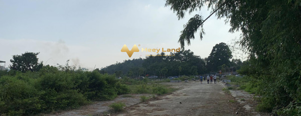 Bán đất tại xã Hoàng Hoa, Tam Dương, Vĩnh Phúc. Diện tích 150m2, giá thương lượng-03