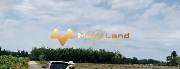Cần gấp bán mảnh đất, 9897m2 giá bán cực tốt 21 tỷ vị trí mặt tiền ở Phước Bình, Đồng Nai cực kì tiềm năng-02