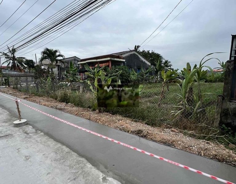 Nằm tại Lộ Làng, Long An bán đất 2.5 tỷ diện tích trong khoảng 400m2-01