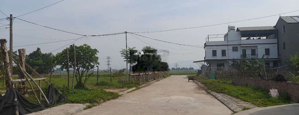 Vị trí thuận lợi nằm tại Sóc Sơn, Hà Nội bán đất, giá cơ bản từ 2.31 tỷ có diện tích tổng 87m2-03