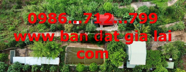 1.75 tỷ bán đất có diện tích tiêu chuẩn 22000m2 vị trí hấp dẫn Ia Pếch, Gia Lai-03