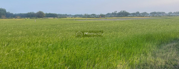 Vị trí ngay ở Đinh Bộ Lĩnh, Bình Thuận bán đất giá cực mềm từ 800 triệu có diện tích khoảng 953m2-02
